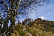 Monte Suchello (1541 m) da Aviatico (1080 m) il 13 aprile 2015  - FOTOGALLERY